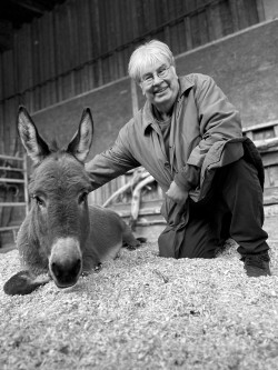 Hans-Rüdiger Schwab